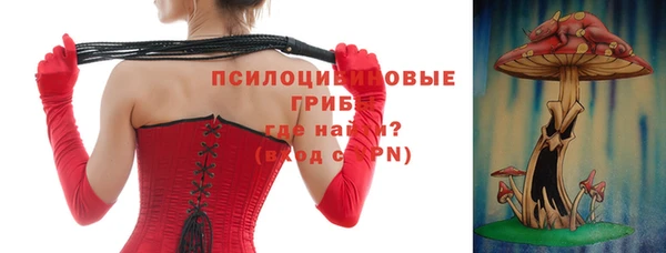 прущие крисы Белокуриха