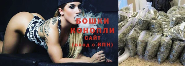 прущие крисы Белокуриха