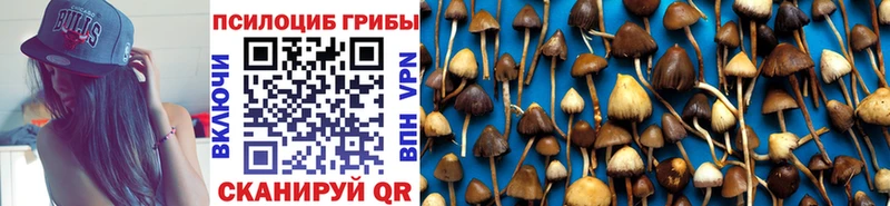 наркошоп  Волгореченск  MEGA   Галлюциногенные грибы GOLDEN TEACHER 